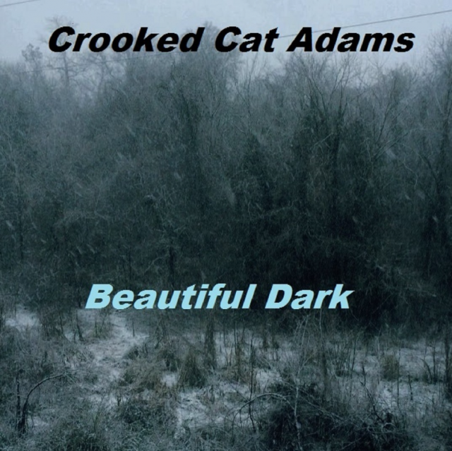 Crooked Cat Adams Beautiful Dark review on Right Chord Music Blog